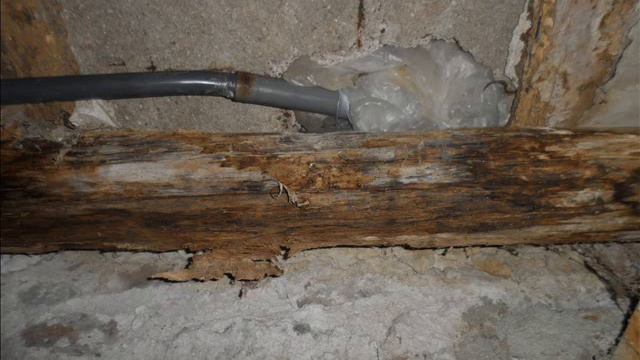 Une cibiche смотреть онлайн