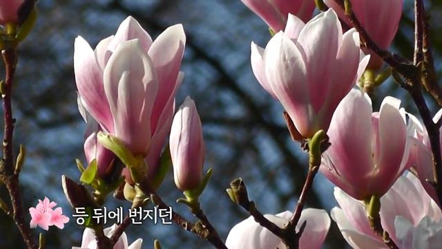 Kim Ho Joong _Thank you/Ким Хо Джун_Благодарю вас смотреть онлайн
