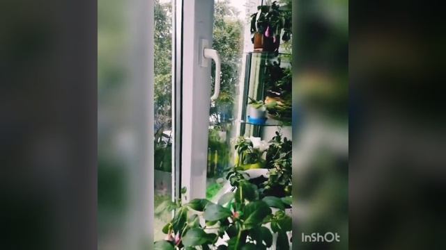 Спешите приобрести эту квартиру! Абеля 27, 2-этаж, 4 комнатная смотреть онлайн