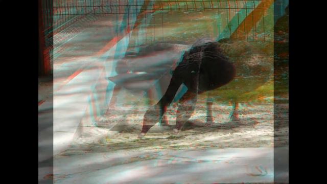 Анаглиф. Ростов-на-Дону. Птичий двор смотреть онлайн