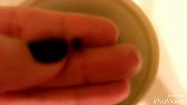 #ШАРИК#ИРБИС#🔮💬🎯 смотреть онлайн