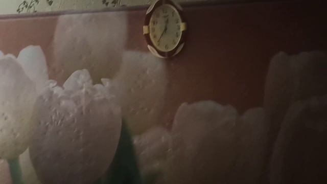 Два брата за 24 часа перед армией проводы в военкомате смотреть онлайн