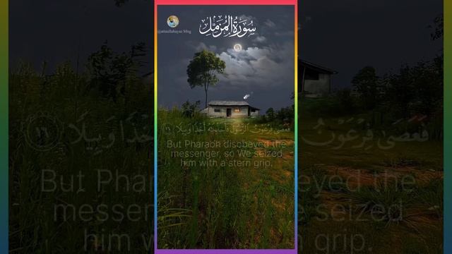 سورہ المزمل مکمل۔قاری عبدالرحمان موسادBest react voice #qari#qariabdulsattar #Qariabdulrehmanmosa смотреть онлайн