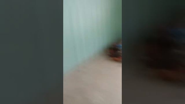 Нам меняют окна в подъезде 2 смотреть онлайн