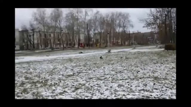 ТОПИ-Русская Ракета.wmv смотреть онлайн