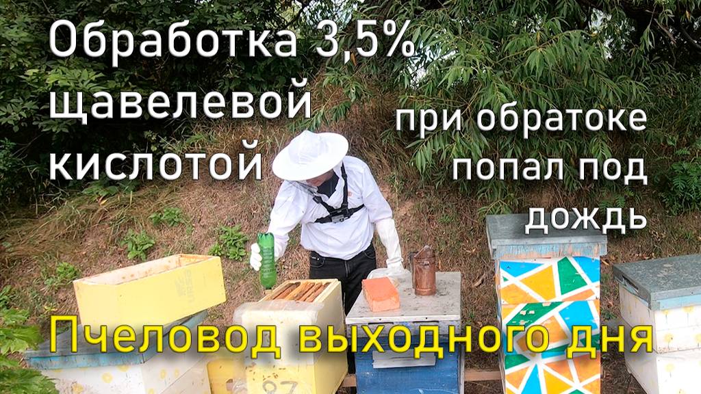 Обработка 3,5% щавелевой кислотой и всё это в дождь. Пчеловод выходного дня смотреть онлайн