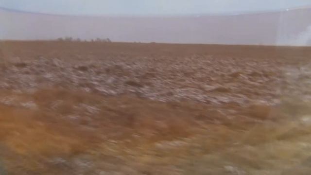 чайный гриб смотреть онлайн