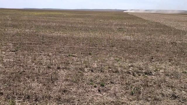 Закрытие влаги 2-ярусной зубовой бороной по стерневому фону смотреть онлайн