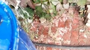 Скважина вода с сероводородом