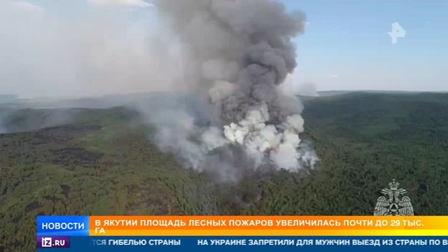 Рен ТВ # Новости, Москва, 5 июня 2024
Природные пожары в регионах РФ смотреть онлайн