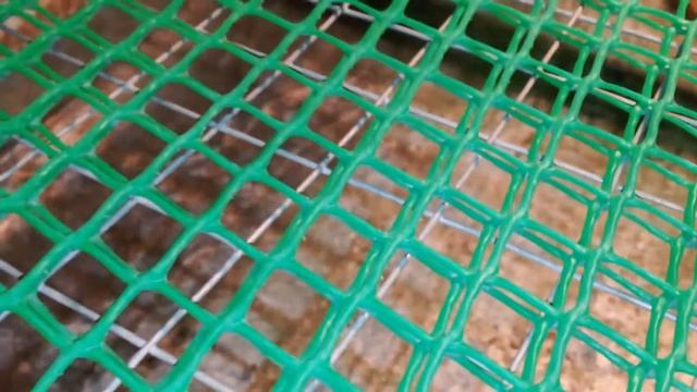 Тигровый питон террариум своими руками смотреть онлайн