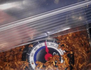 Влажность табака для набивания гильз ручной машинкой.