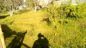 Забор,дорожка,летний курятник из горбыля