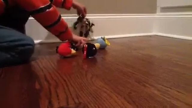 Angry birds meets Hero Factory Part 1 смотреть онлайн