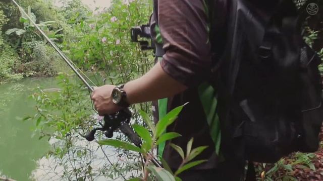 INSANE JUNGLE TOPWATER ACTION with the BONE Hoverjet 130F смотреть онлайн