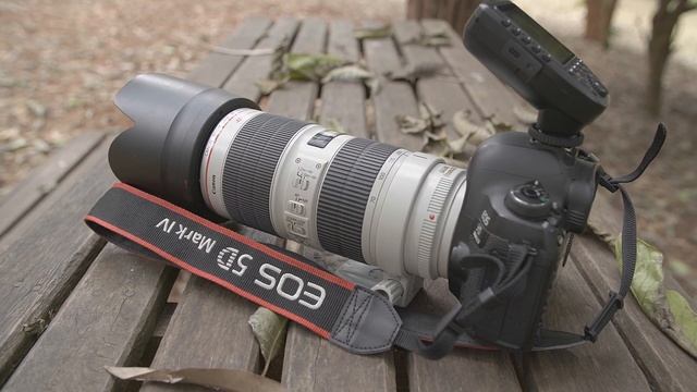 Camera Footage Our Canon 5D Mark IV In 2022