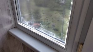 Зеркальная пленка на окна от солнца спустя 2 года