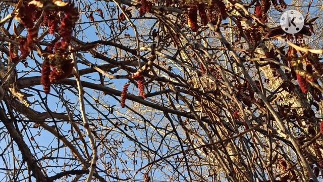 Кристина Мотиватор.Мотиватор она не вы,терпеть не будет,она от всех убежит.Так и бегает всю жизнь смотреть онлайн