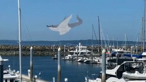 топ 5 гигантов Тревора Хендерсона снятых на камеру