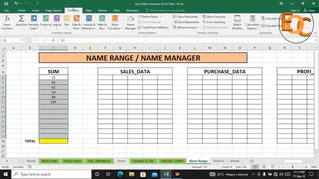 Name Range & Name Manager in Excel in Odia. #EasyOdiaComputer смотреть онлайн