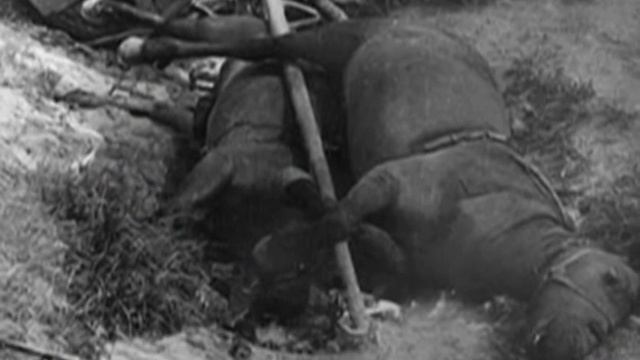 Туруханский район. Видеостудия Спектр. Их остается все меньше смотреть онлайн