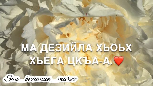 Песня - для сестры 🥰 йишийна эшар