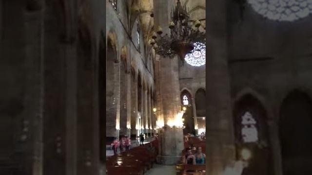 Basilica de Santa Maria del Mar (Barcelona) смотреть онлайн