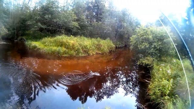Форель август ( сухая муха ) смотреть онлайн