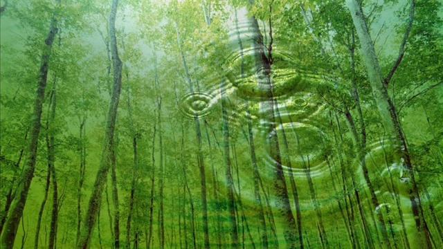 Сутра о постижении деяний и Дхармы бодхисаттвы Всеобъемлющая Мудрость (3) смотреть онлайн