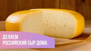 Делаем Российский сыр дома. Часть 1.