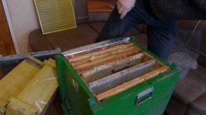 Технология и годовой цикл содержания пчелосемей в одном гнездовом корпусе. Система  300 + 145 рамка