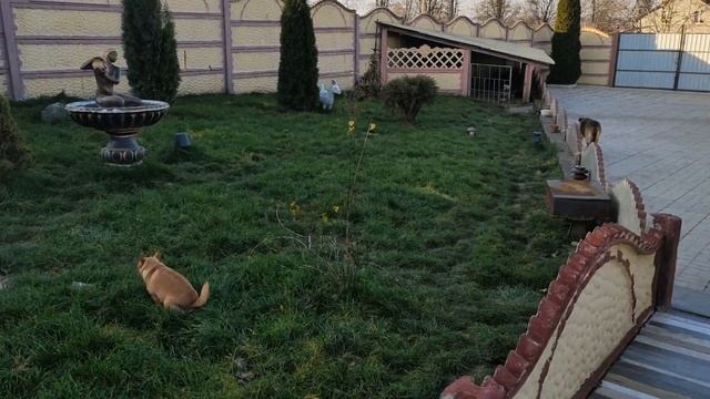 Славянск. 29 ноября 2022 года. С добрым утром! смотреть онлайн