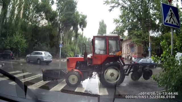 Такому пешеходу сложно не уступить. смотреть онлайн