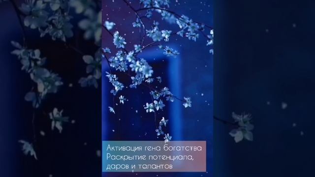 Тета Медитация активация гена богатства. Раскрытие потенциала, даров и талантов смотреть онлайн