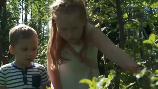 ЖК "Новое Сертолово", застройщик КВС / Строй Видео смотреть онлайн