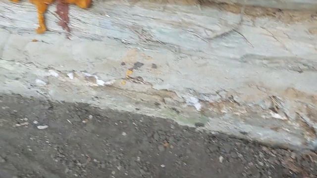 Ремонт бани. Часть1. смотреть онлайн