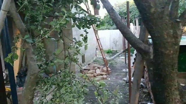 Сарай своими руками