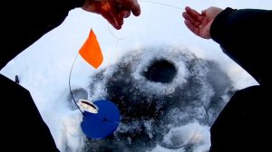 Как ставить жерлицы на щуку, как оснастить жерлицы.