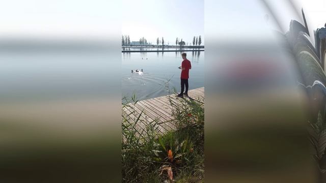 Кубок Воронежской области по судомодельному спорту. смотреть онлайн