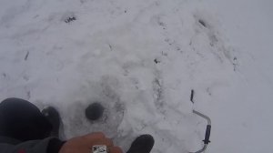 ЗИМНЯЯ РЫБАЛКА. ЛОВЛЯ КРУПНОГО ОКУНЯ НА ЧЁРТИК