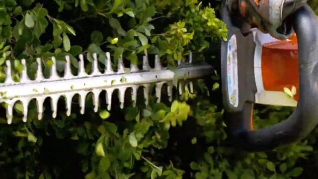 Bezvadu dzīvžogu šķēres STIHL COMPACT HSA 56 смотреть онлайн