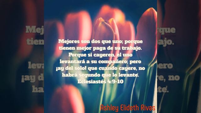 Ashley Elideth Rivas смотреть онлайн