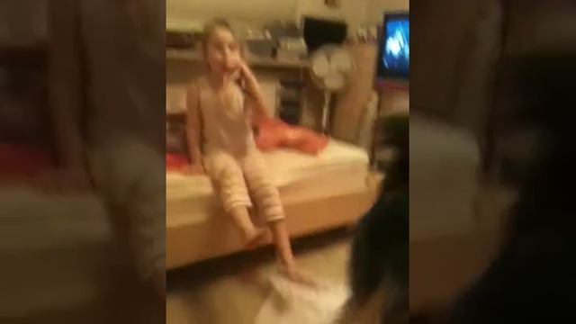 Один (11,5 месяцев поет вместе в Катюшкой) Сибирская хаска смотреть онлайн