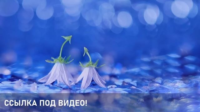 Красота снаружи - красота внутри. смотреть онлайн