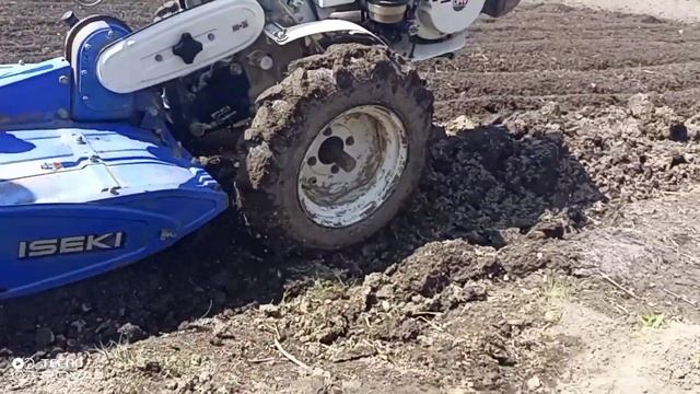 Пашем огород японским мотоблоком Iseki