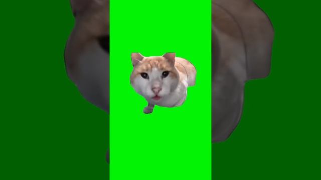 ловите фон смотреть онлайн