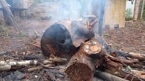 Строю лесную ИЗБУ! Первый речной трофей есть. DIY. Один в лесу. Сруб из валежника.