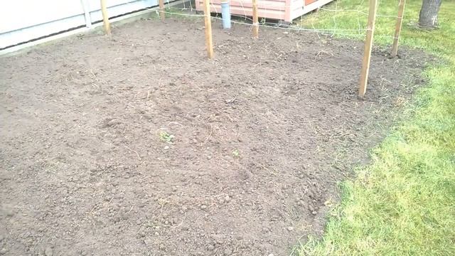 СИДЕРАТЫ ПОД ЗИМУ смотреть онлайн