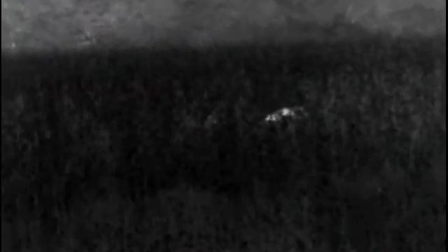 Pulsar Helion XQ 50 F