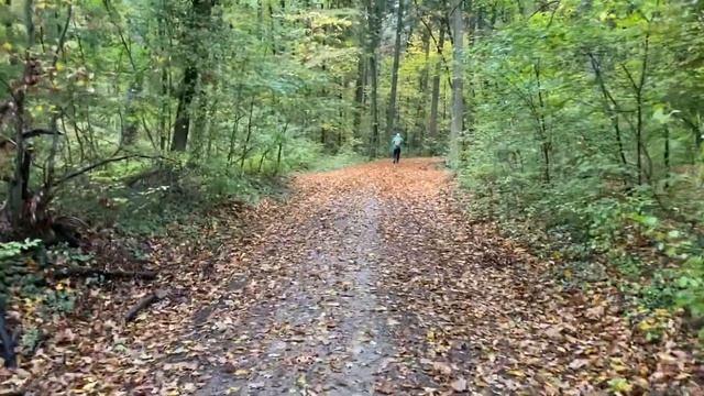 60 - Про путешествие по Канаде, информация, обзор ?